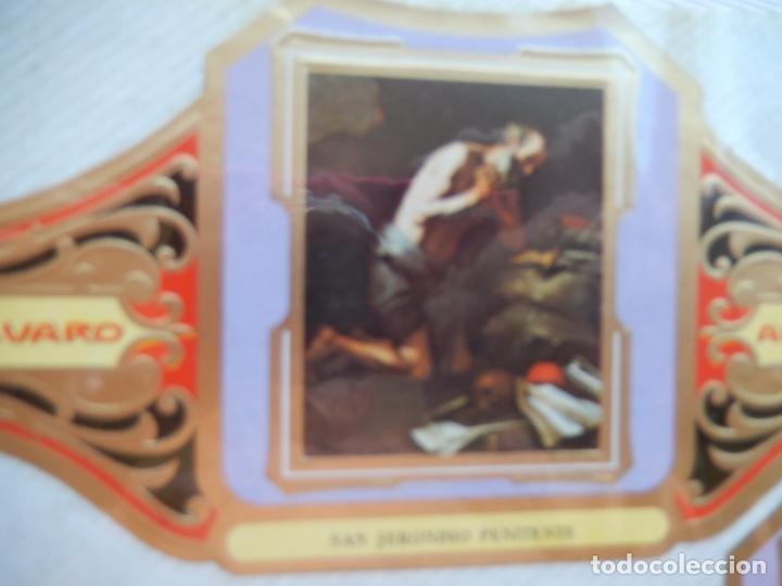 Bagues de cigare de collection: SAN JERONIMO PENITENTE - VITOLA ALVARO CUADROS PINTORES ESPA&Ntilde;OLES