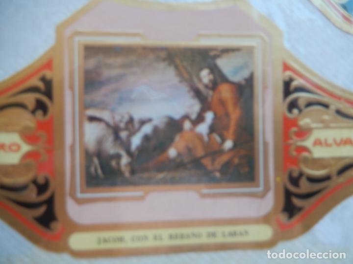 Bagues de cigare de collection: JACOB , CON EL REBA&Ntilde;O DE LABAN - VITOLA ALVARO CUADROS PINTORES ESPA&Ntilde;OLES
