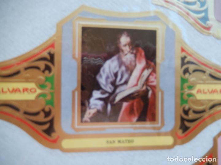 Bagues de cigare de collection: SAN MATEO - VITOLA ALVARO CUADROS PINTORES ESPA&Ntilde;OLES
