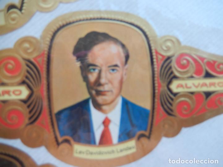 Bagues de cigare de collection: LEV DAVIDOVICH LANDAU - VITOLA ALVARO SERIE PREMIOS NOBEL