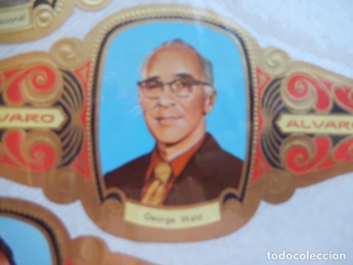 Bagues de cigare de collection: GEORGE WALD - VITOLA ALVARO SERIE PREMIOS NOBEL