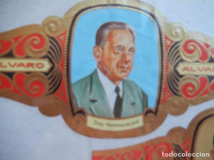 Bagues de cigare de collection: DAG HAMMARSKJ&Ouml;LD - VITOLA ALVARO SERIE PREMIOS NOBEL