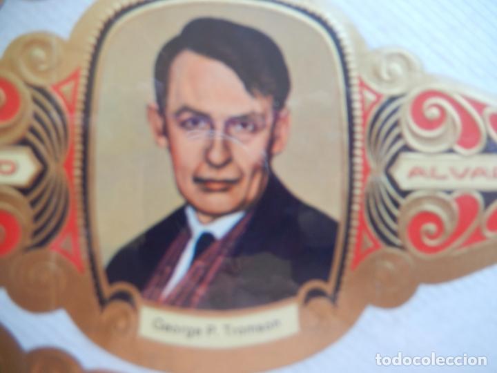Bagues de cigare de collection: GEORGE P TROMSON -VITOLA ALVARO SERIE PREMIOS NOBEL