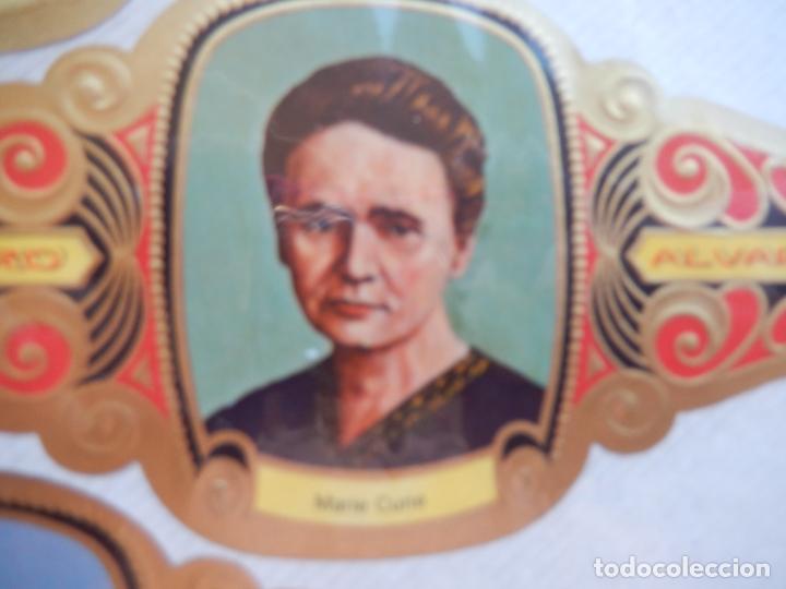 Bagues de cigare de collection: MARIE CURIE - VITOLA ALVARO SERIE PREMIOS NOBEL