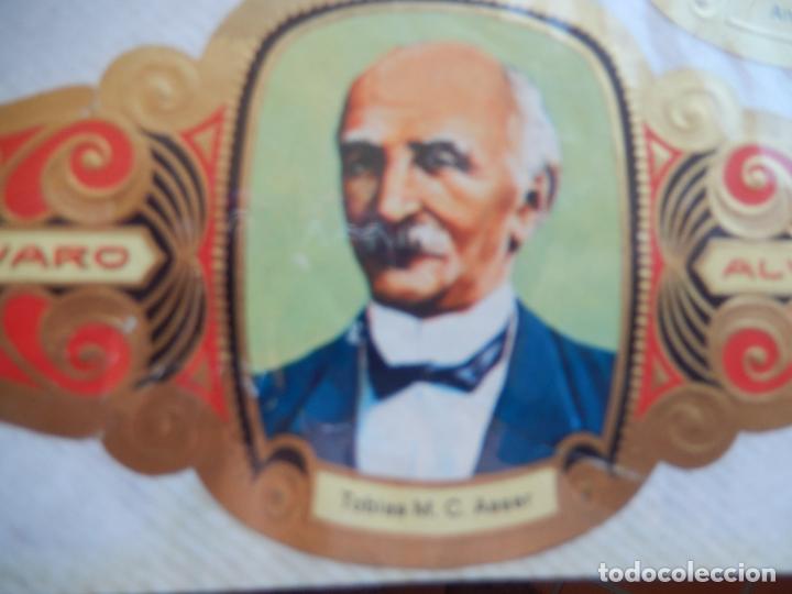 Bagues de cigare de collection: TOBIAS M. C. ASSER - VITOLA ALVARO SERIE PREMIOS NOBEL