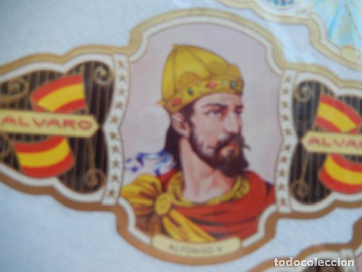 Sammlung von Banderolen: ALFONSO V - N&ordm; 55 - REYES - VITOLA ALVARO 14X7 CM