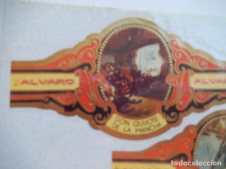 Sammlung von Banderolen: DON QUIJOTE DE LA MANCHA - N&ordm; 74 - VITOLA ALVARO 14X7 CM