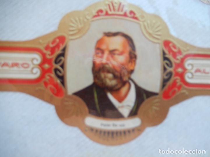 Sammlung von Banderolen: PETER BENOIT - COMPOSITORES - N&ordm; 12 - VITOLA ALVARO 14X7 CM