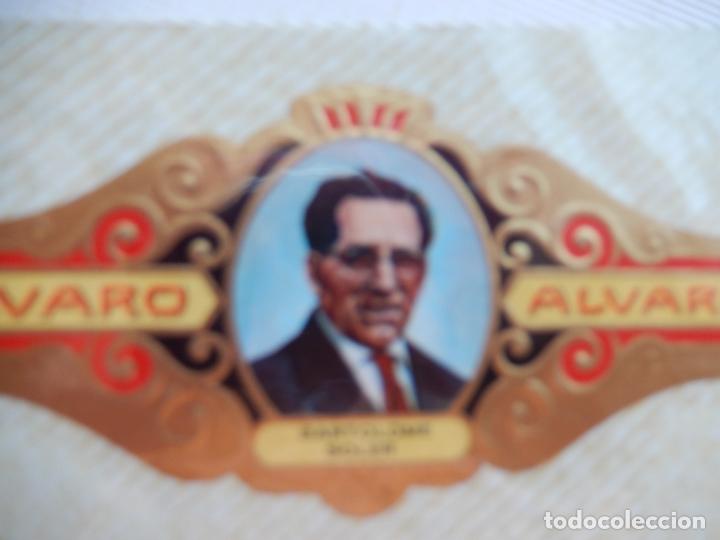 Sammlung von Banderolen: BARTOLOME SOLER -SERIE LITERATOS N&ordm; 152 - VITOLA ALVARO 9,50X 4 CM