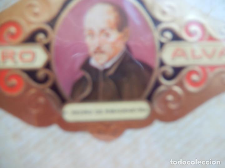 Sammlung von Banderolen: P PEDRO DE RIVADENEYRA - SERIE LITERATOS N&ordm; 25 - VITOLA ALVARO 9,50X 4 CM