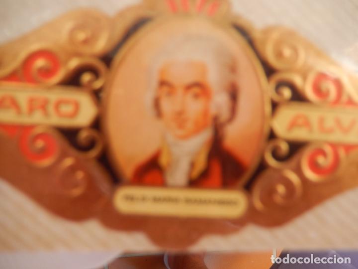 Sammlung von Banderolen: FELIX MARIA SAMANIEGO - SERIE LITERATOS N&ordm; 58 - VITOLA ALVARO 9,50X 4 CM