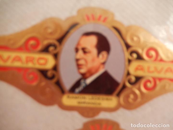 Sammlung von Banderolen: RAMON LEDESMA MIRANDA - SERIE LITERATOS N&ordm; 180 - VITOLA ALVARO 9,50X 4 CM