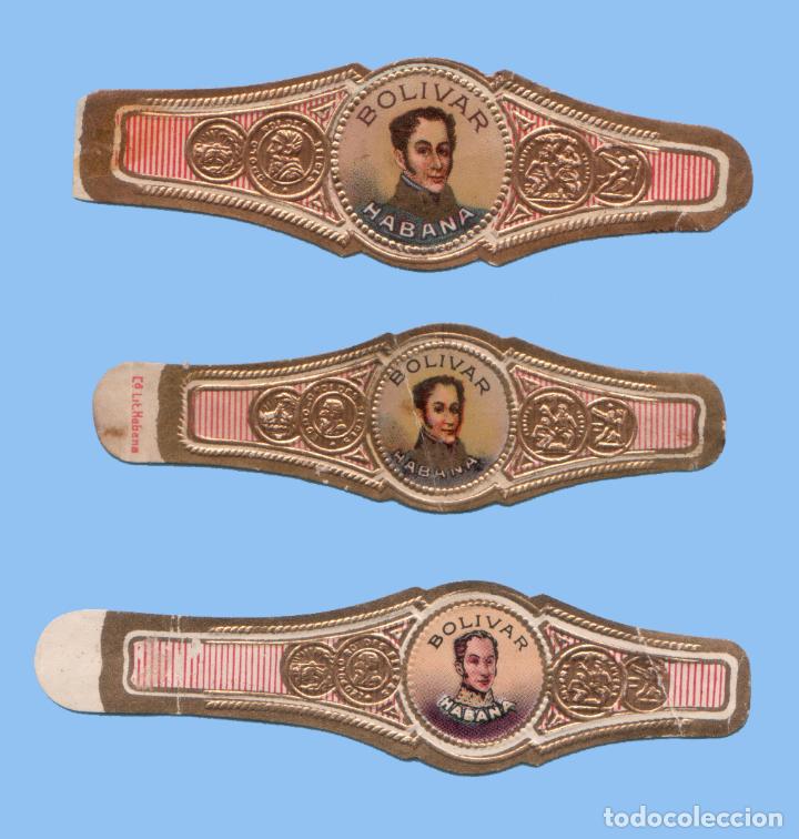 Vitolas de colecci&oacute;n: 3 VITOLAS CUBANAS ANTIGUAS - MARCA BOLIVAR