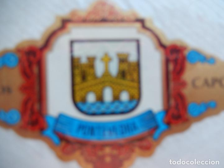 Vitolas de colecci&oacute;n: PONTEVEDRA - ESCUDOS PROVICIAS DE ESPA&Ntilde;A - VITOLA CAPOTE 8X4,50 CM