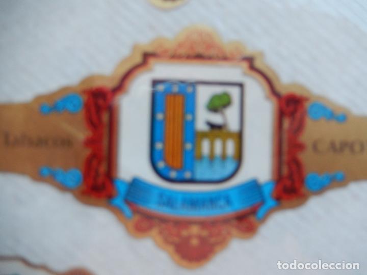 Vitolas de colecci&oacute;n: SALAMANCA - ESCUDOS PROVICIAS DE ESPA&Ntilde;A - VITOLA CAPOTE 8X4,50 CM