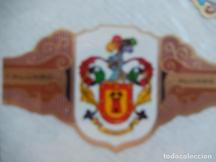 Vitolas de colecci&oacute;n: MORENO - SERIE HERALDICA - VITOLA ALVARO 6X3,50 CM