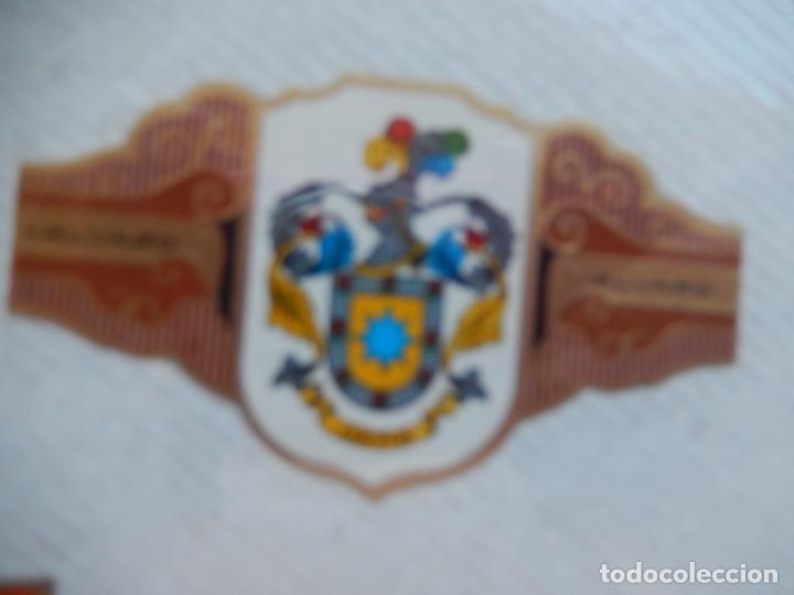 Vitolas de colecci&oacute;n: ORTIZ - SERIE HERALDICA - VITOLA ALVARO 6X3,50 CM