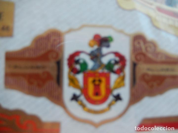 Vitolas de colecci&oacute;n: MORENO - SERIE HERALDICA - VITOLA ALVARO 6X3,50 CM