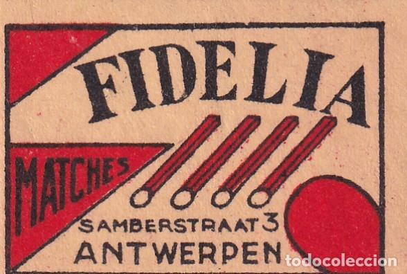 Vitolas de colecci&oacute;n: Cromo tabaco publicidad Fidelia Antwerpen 5,5 x 3,50 cm