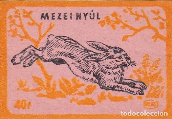 Bagues de cigare de collection: Cromo tabaco publicidad colecci&oacute;n animales conejo 5,50 x 3,50 cm