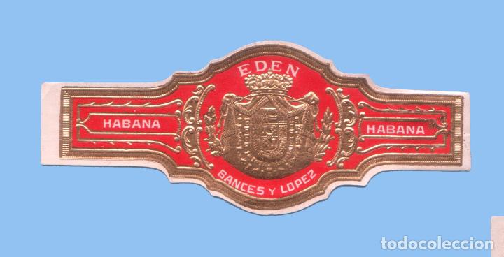 Bagues de cigare de collection: VITOLA CUBANA ANTIGUA - MARCA EDEN - ESCUDO