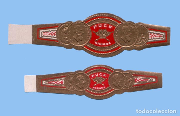 An&eacute;is de charuto de cole&ccedil;&atilde;o: 2 VITOLAS CUBANAS ANTIGUAS - MARCA PUCK