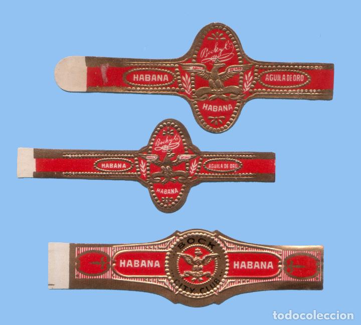 Bagues de cigare de collection: 3 VITOLAS CUBANAS ANTIGUAS - MARCA EL &Aacute;GUILA DE ORO. BOCK Y CIA. - TEM&Aacute;TICA &Aacute;GUILAS