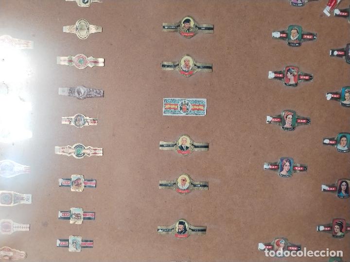 Vitolas de colecci&oacute;n: cuadro vitrina con vitolas - Foto 4