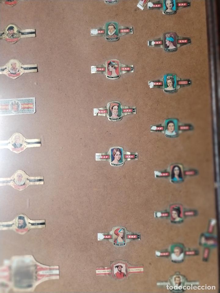 Vitolas de colecci&oacute;n: cuadro vitrina con vitolas - Foto 7