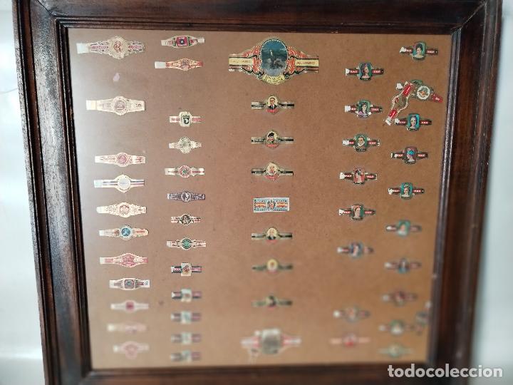 Vitolas de colecci&oacute;n: cuadro vitrina con vitolas - Foto 8