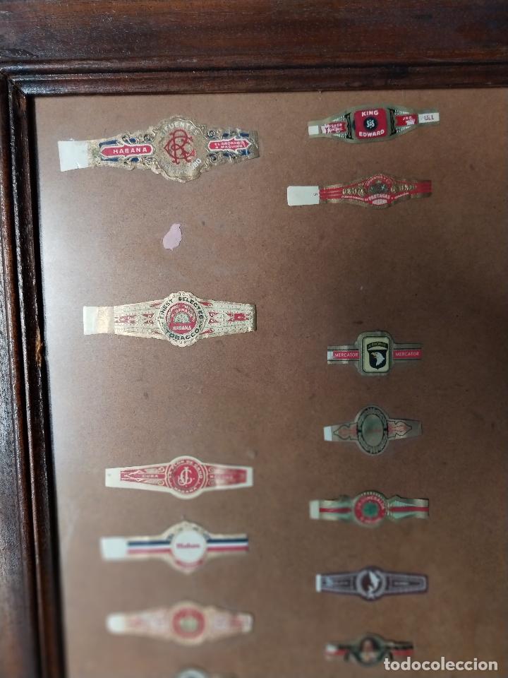 Vitolas de colecci&oacute;n: cuadro vitrina con vitolas - Foto 9