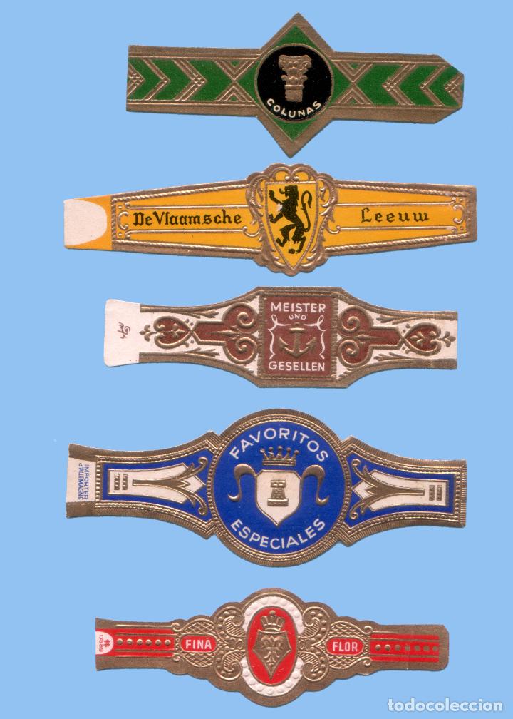 Sammlung von Banderolen: 5 VITOLAS ANTIGUAS - DISTINTAS MARCAS Y TEM&Aacute;TICAS