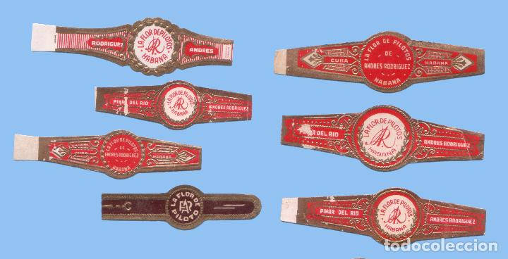 Sammlung von Banderolen: 7 VITOLAS CUBANAS ANTIGUAS - MARCA LA FLOR DE PILOTOS - ANDRES RODRIGUEZ