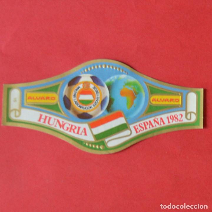 An&eacute;is de charuto de cole&ccedil;&atilde;o: VITOLA ALVARO - MUNDIALES DE FUTBOL 1982 - MUNDIAL 82 - TAMA&Ntilde;O GRANDE - N&ordm; 15 - HUNGRIA