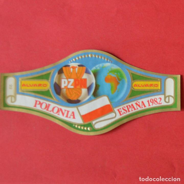 An&eacute;is de charuto de cole&ccedil;&atilde;o: VITOLA ALVARO - MUNDIALES DE FUTBOL 1982 - MUNDIAL 82 - TAMA&Ntilde;O GRANDE - N&ordm; 22 - POLONIA