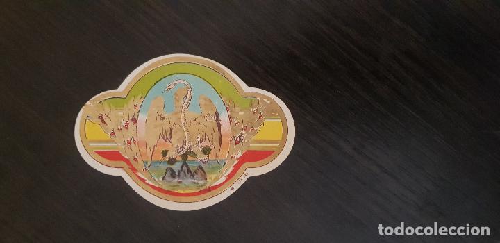 An&eacute;is de charuto de cole&ccedil;&atilde;o: ETIQUETA CAJA PUROS