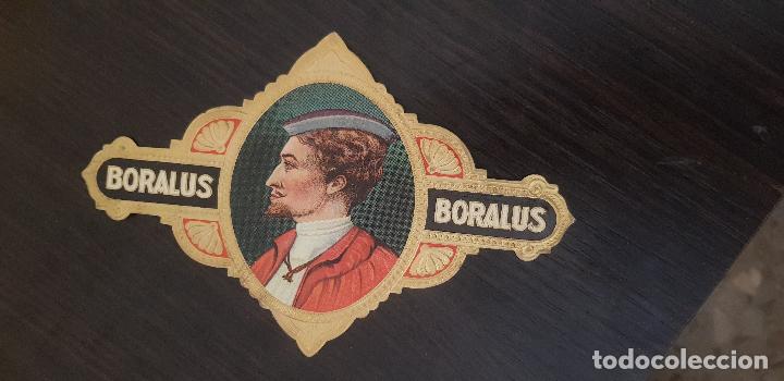 An&eacute;is de charuto de cole&ccedil;&atilde;o: ETIQUETA CAJA PUROS