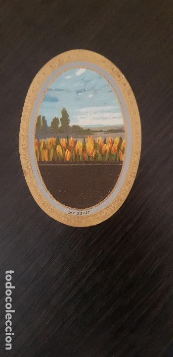 Bagues de cigare de collection: ETIQUETA CAJA PUROS