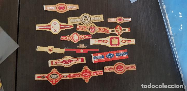 An&eacute;is de charuto de cole&ccedil;&atilde;o: 15 VITOLAS