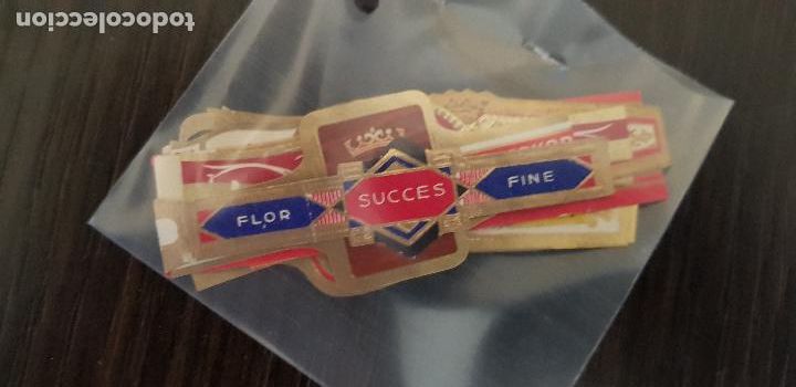 An&eacute;is de charuto de cole&ccedil;&atilde;o: 13 VITOLAS