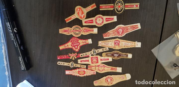 Vitolas de colecci&oacute;n: 15 VITOLAS - Foto 2
