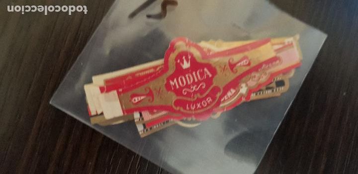 An&eacute;is de charuto de cole&ccedil;&atilde;o: 15 VITOLAS