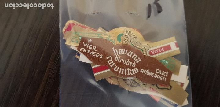 An&eacute;is de charuto de cole&ccedil;&atilde;o: 15 VITOLAS