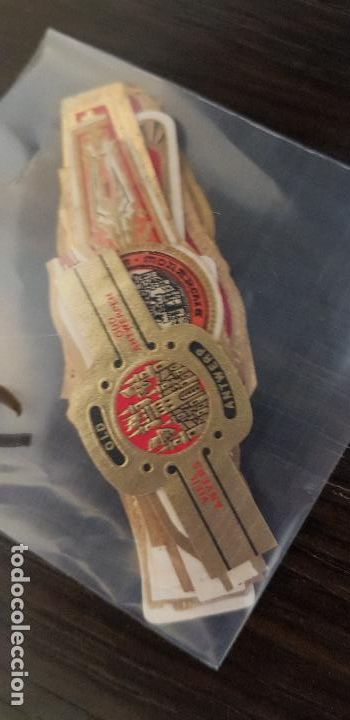 An&eacute;is de charuto de cole&ccedil;&atilde;o: 15 VITOLAS