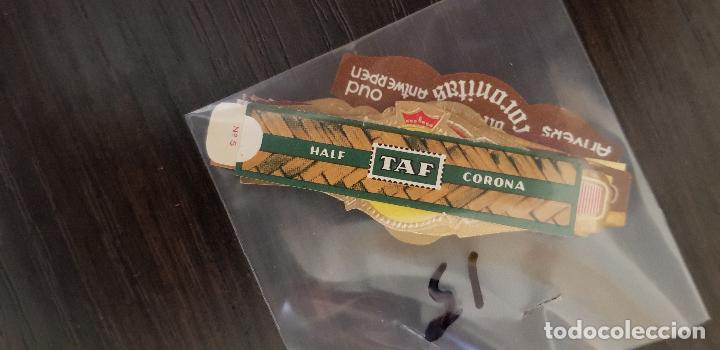 An&eacute;is de charuto de cole&ccedil;&atilde;o: 15 VITOLAS