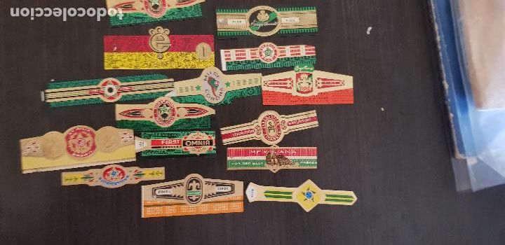 An&eacute;is de charuto de cole&ccedil;&atilde;o: 15 VITOLAS