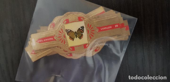 Bagues de cigare de collection: 25 VITOLAS