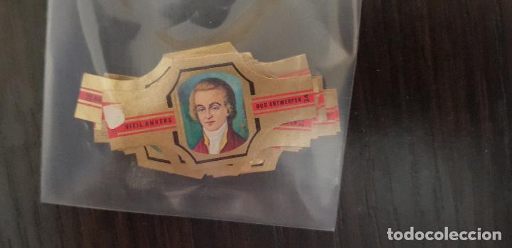 Bagues de cigare de collection: 24 VITOLAS