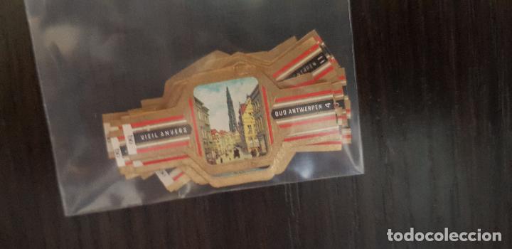 Bagues de cigare de collection: 24 VITOLAS