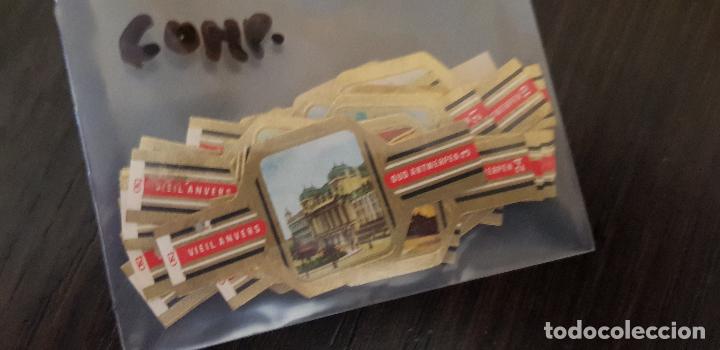 Bagues de cigare de collection: 24 VITOLAS